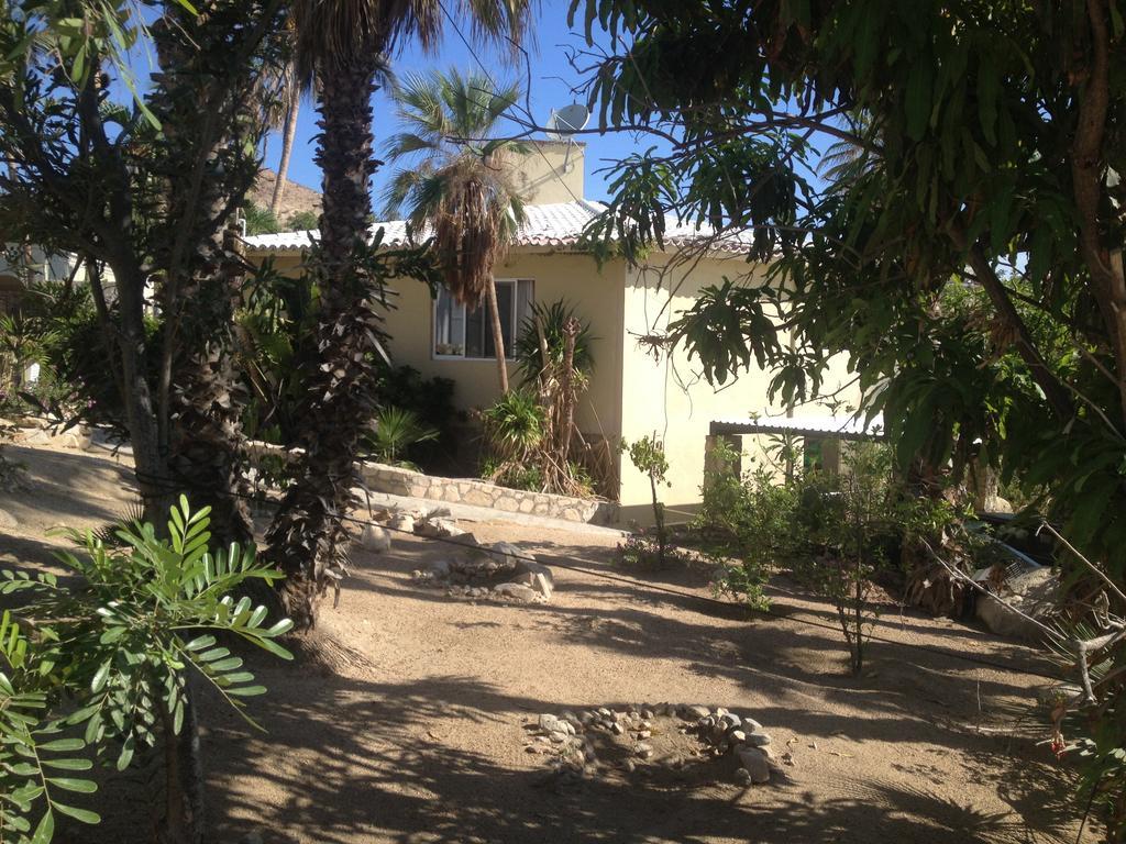 Surfer'S Paradise, Yoga&Food Garden@Costa Azul, Los Cabos San Jose del Cabo Exterior photo
